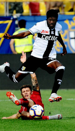 gervinho-parma-cronica-geonis